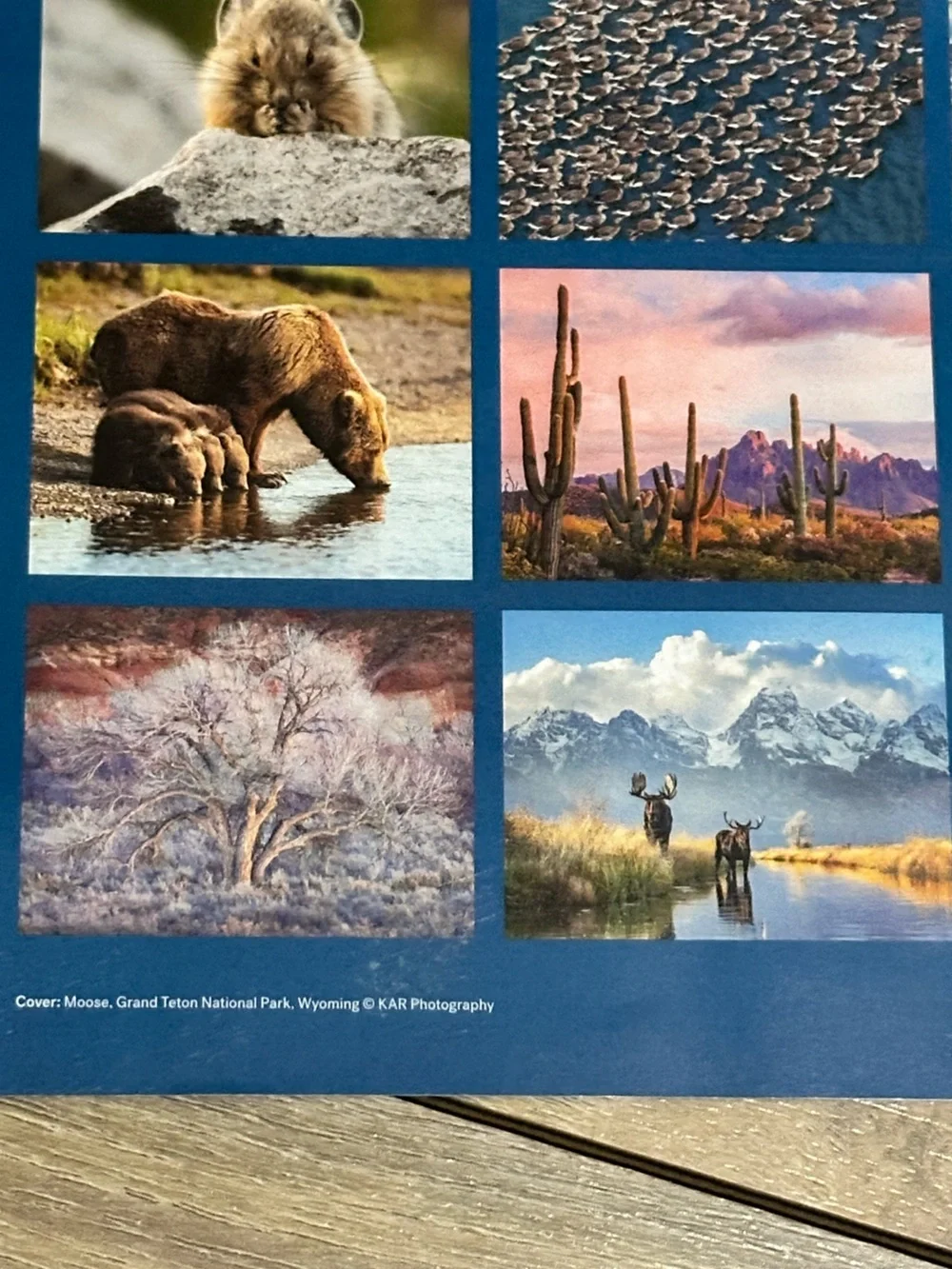 NWT 2026/2027 Wilderness Society 16 Month Calendar